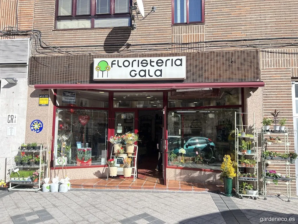 Floristería Gala