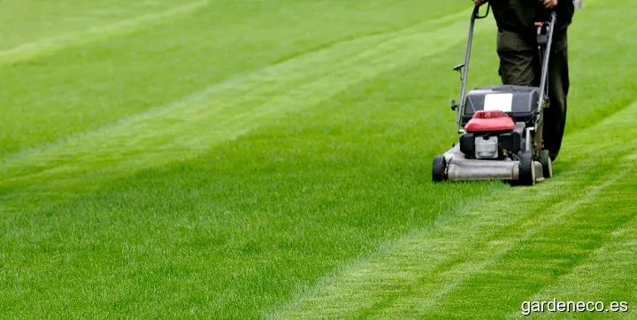 Jarditec Riegos y Jardines, S.L.