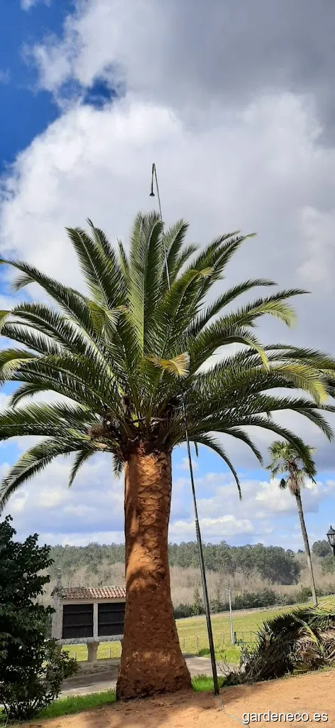 Os Gnomos - Servizos Agroforestais en Galicia