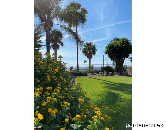 Mediterranea de Manteniment