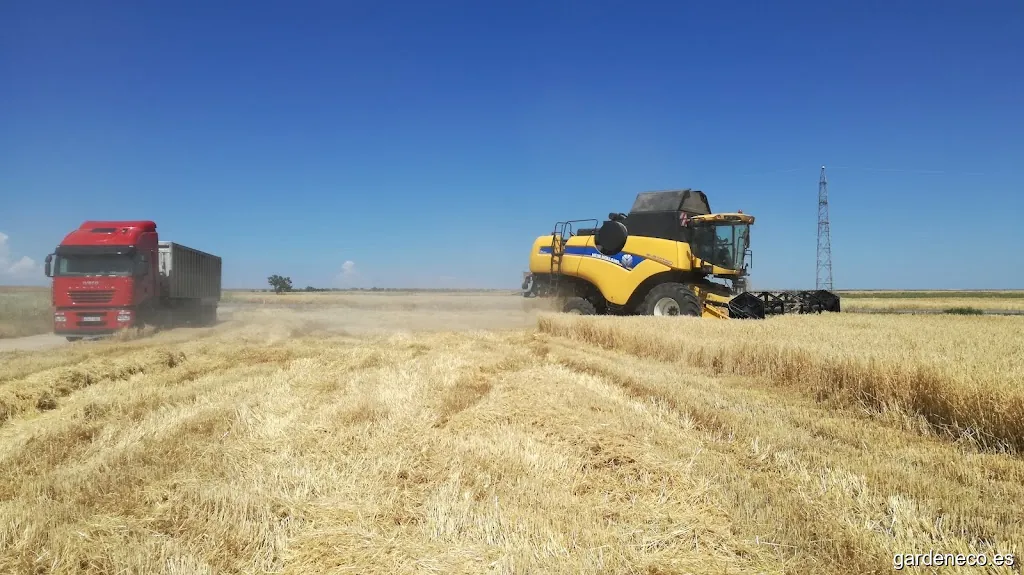 Agropequària Ardiaca Morlo Sl