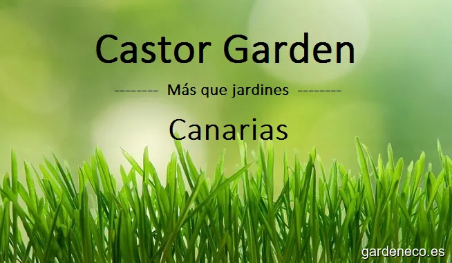 Castor Garden - Más que jardines