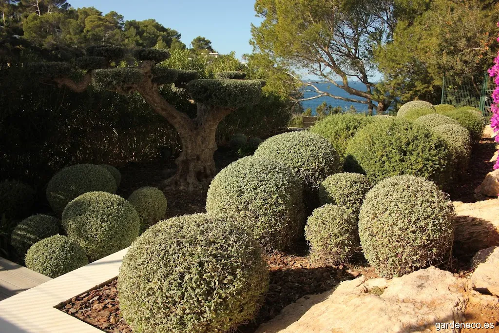 Cavallo Property Management