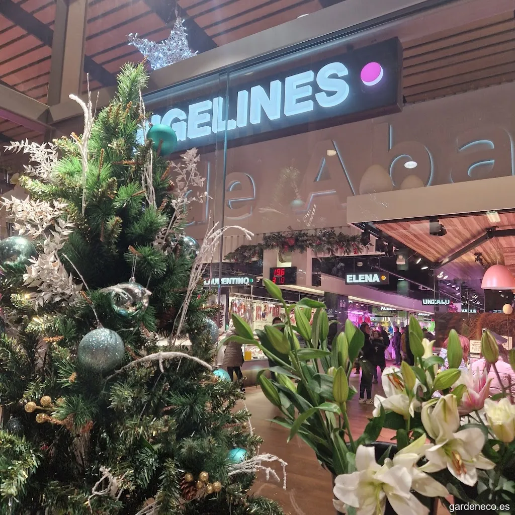 Floristeria Angelines