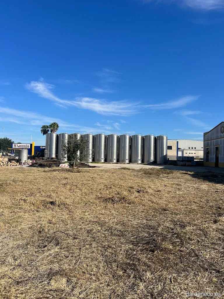 servicios de jardineria y limpieza JUTECA