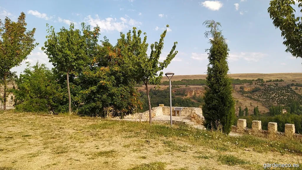 Jardín Miguel Delibes. Huerto de las palabras y de los cerezos