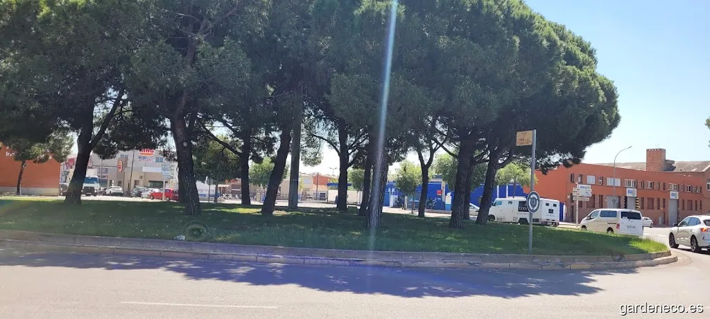 Plaza de Ramón Llull