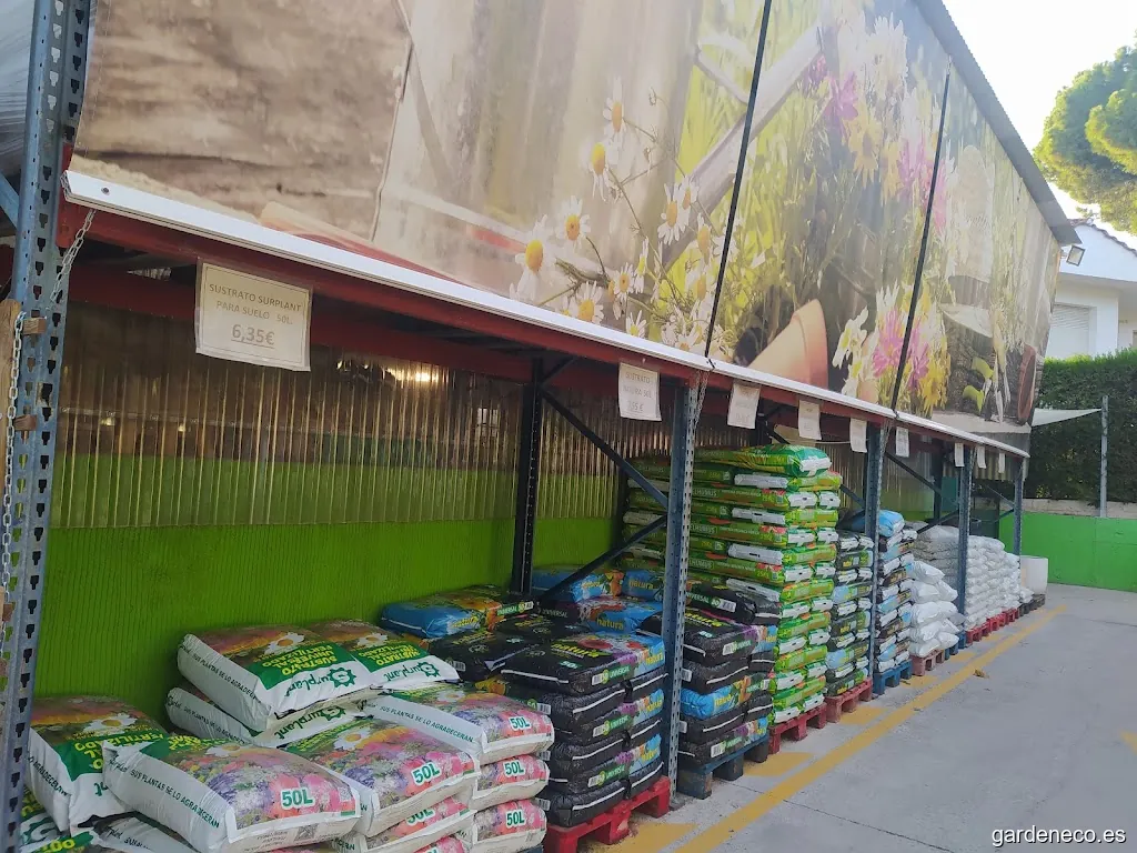 Viveros Surplant S.L.