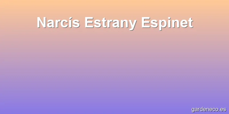 Narcís Estrany Espinet