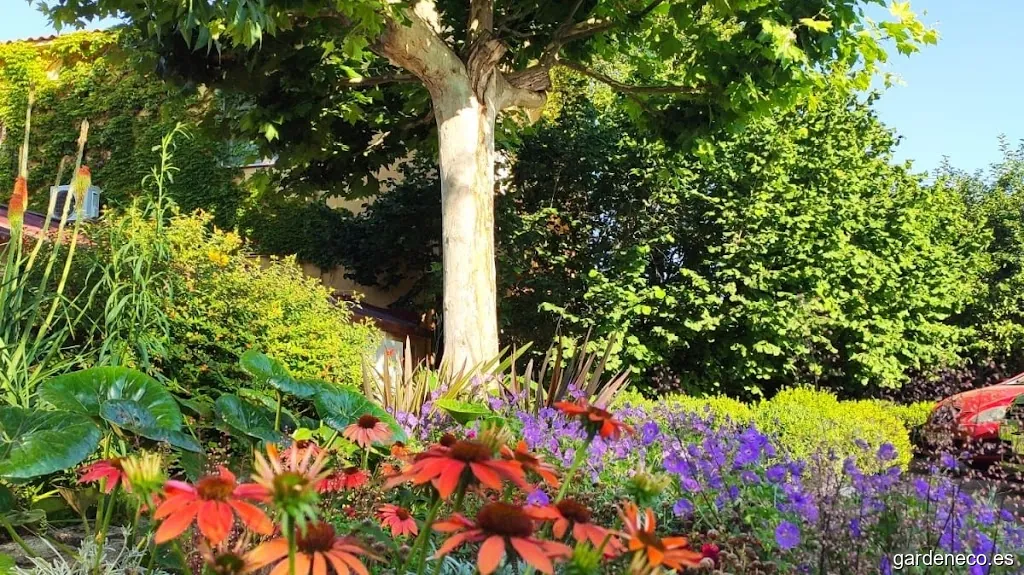 EBRO JARDIN ARAGON SA