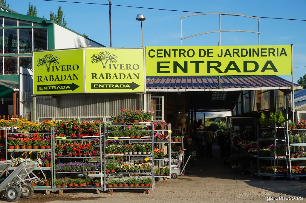 Imagen 2