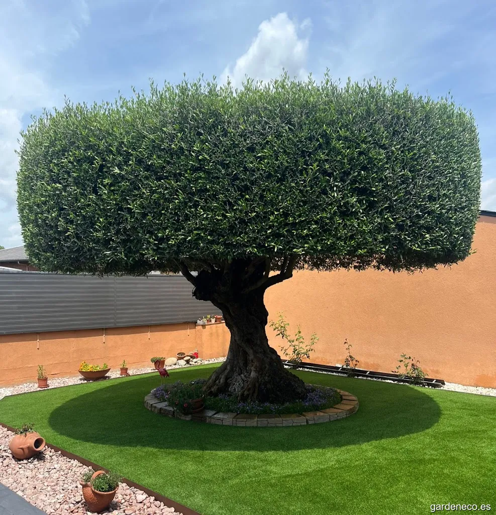 Botanical Jardineria