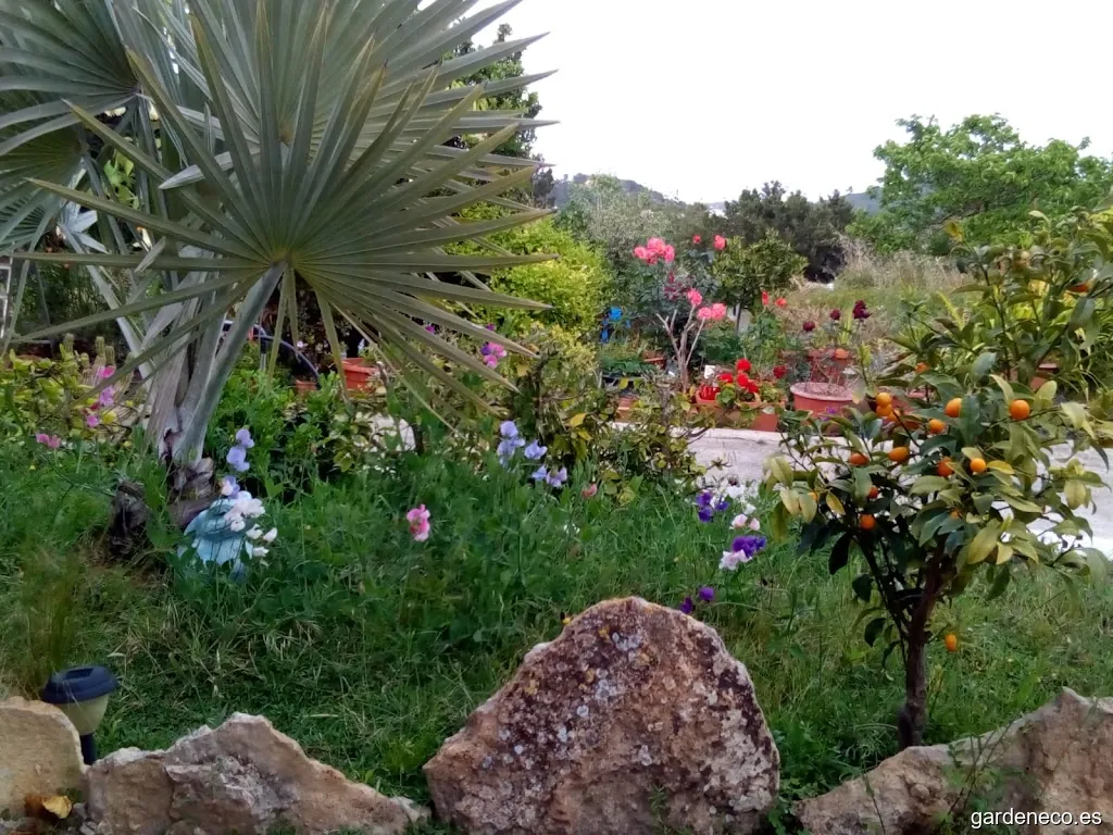 LIMPIEZA Y JARDINES PITIUSAS