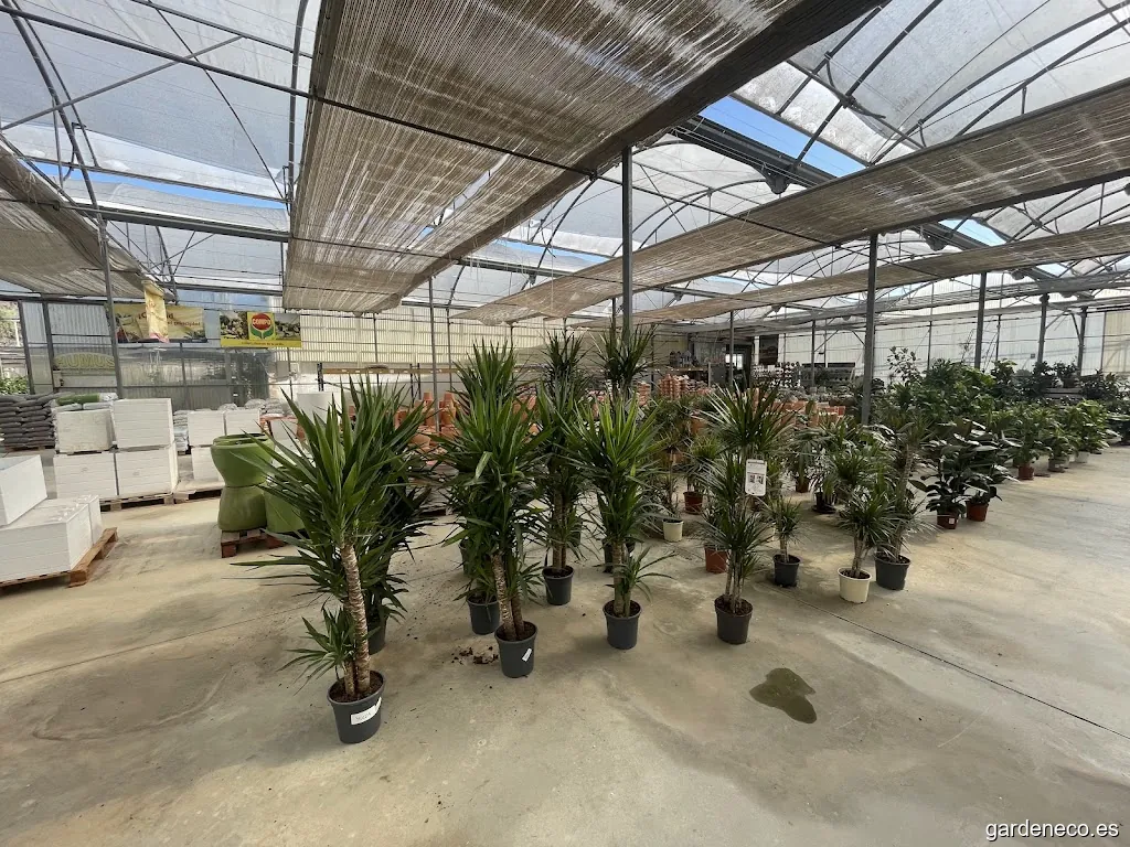 Viveros Cambil - Garden Center & Landscape