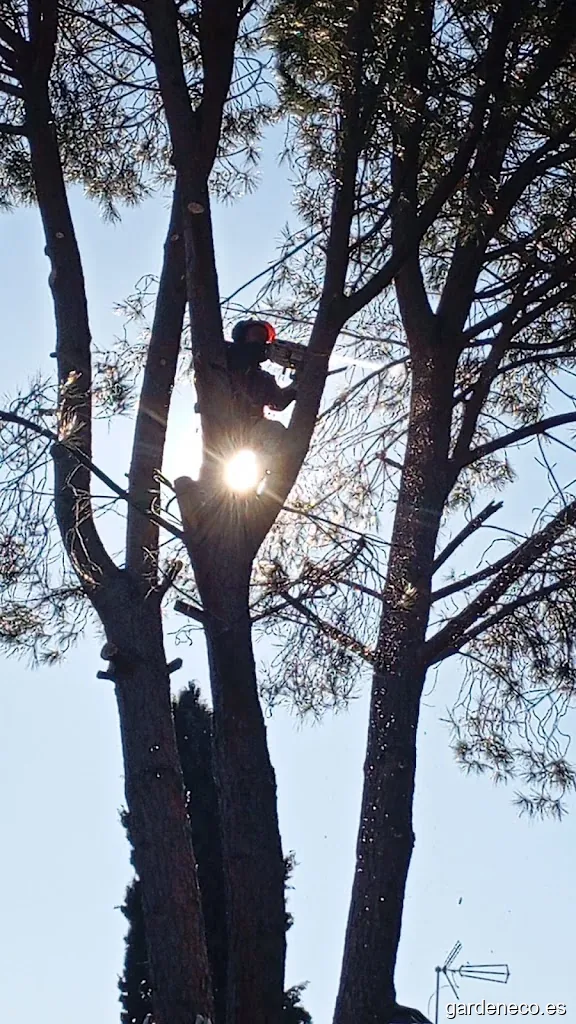 Poda tala jardinería 3L.Nolte