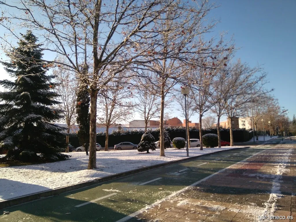 Jardines de San Enrique de Ossó