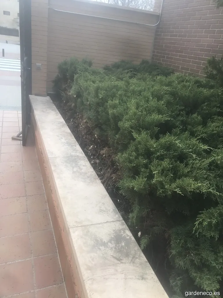 Garden Mantenimiento