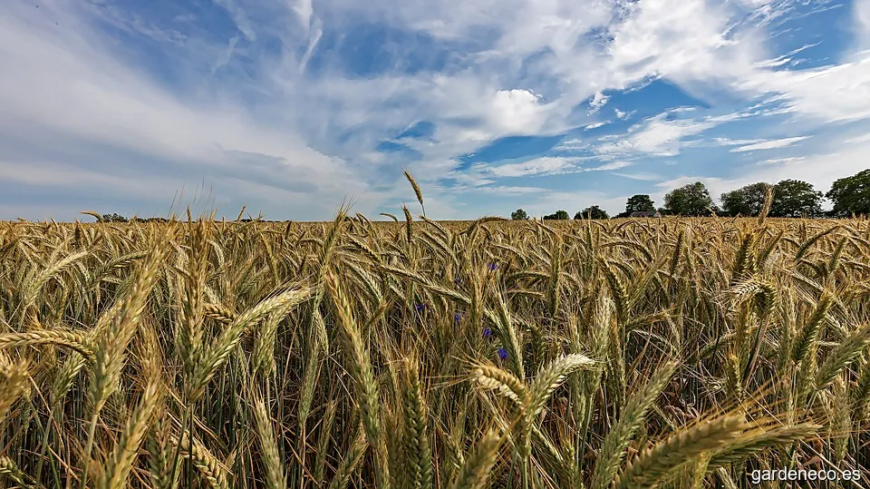 PV Pastores Eléctricos - Empresa de jardinería en Albacete