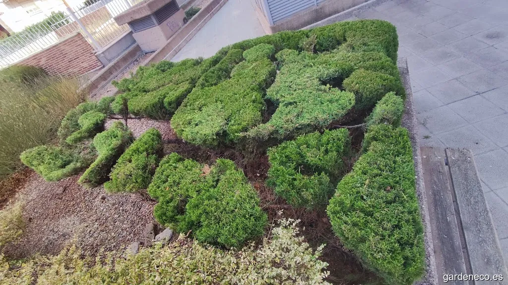 Jardines Yagüe - mejorando el hábitat