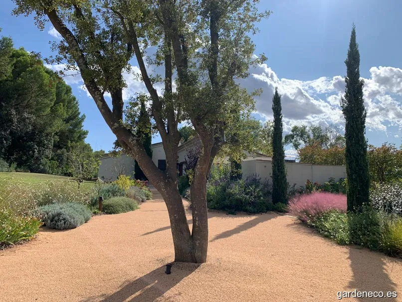 Paisajismo y Diseño de Jardines | Obra Pública y Privada | Local 4