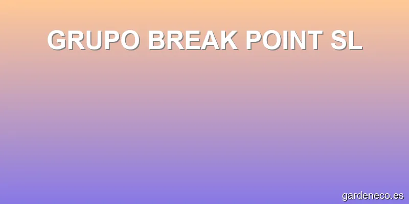 GRUPO BREAK POINT SL