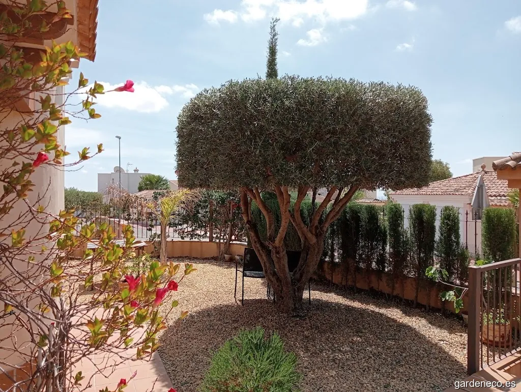 My Garden Jardinería | Mantenimiento de jardinería, piscinas y hogar