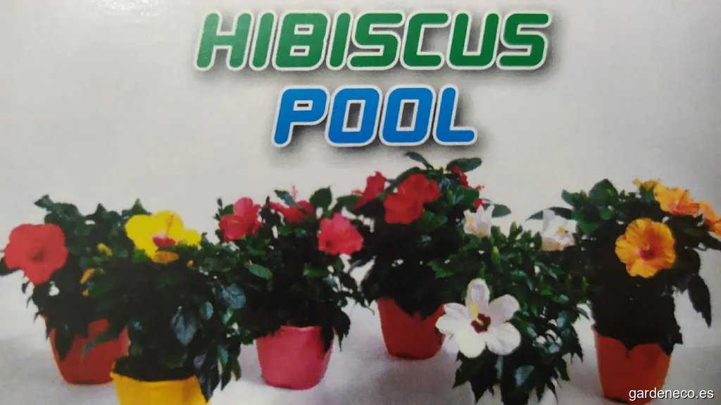 Hibiscuspool