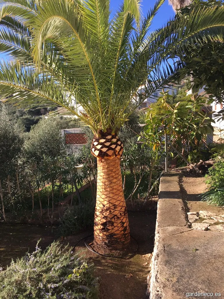 Jaime Sanchís Jardines y Piscinas