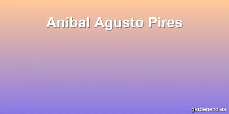 Aníbal Agusto Pires