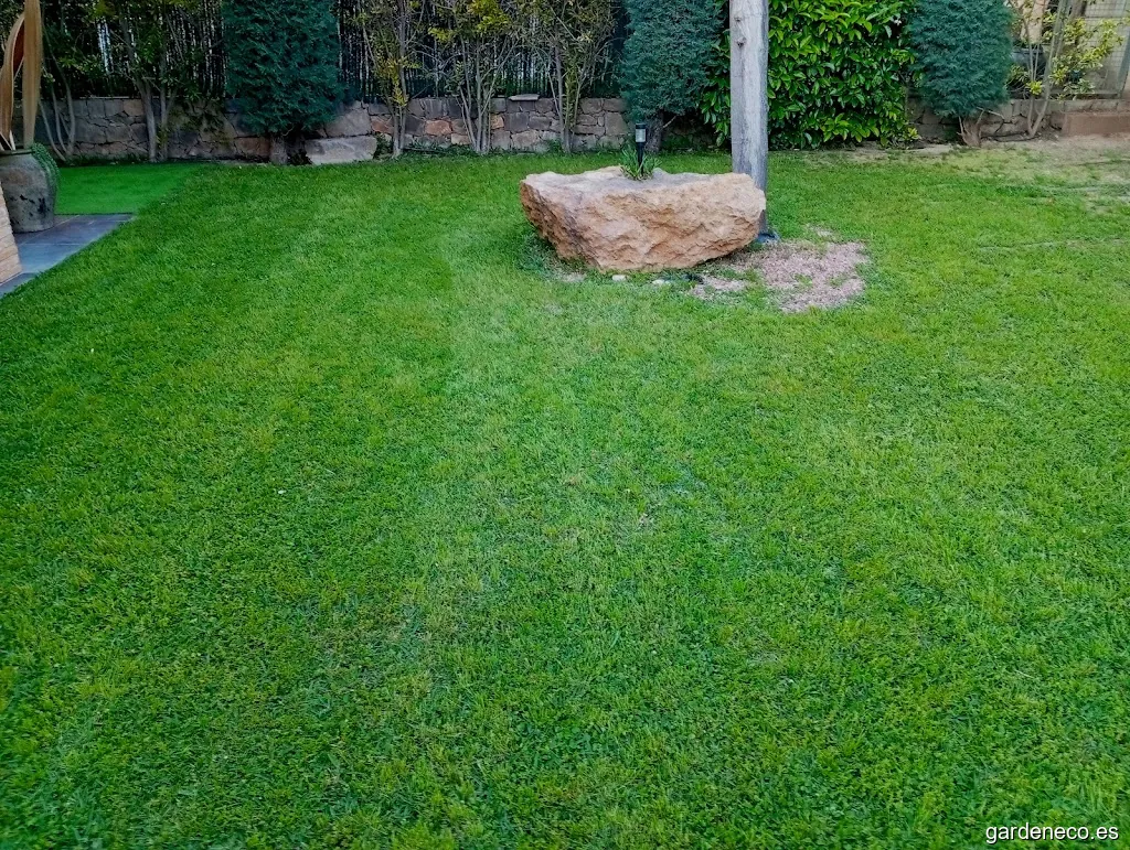 Садовник Валенсии / Jardinería Valencia