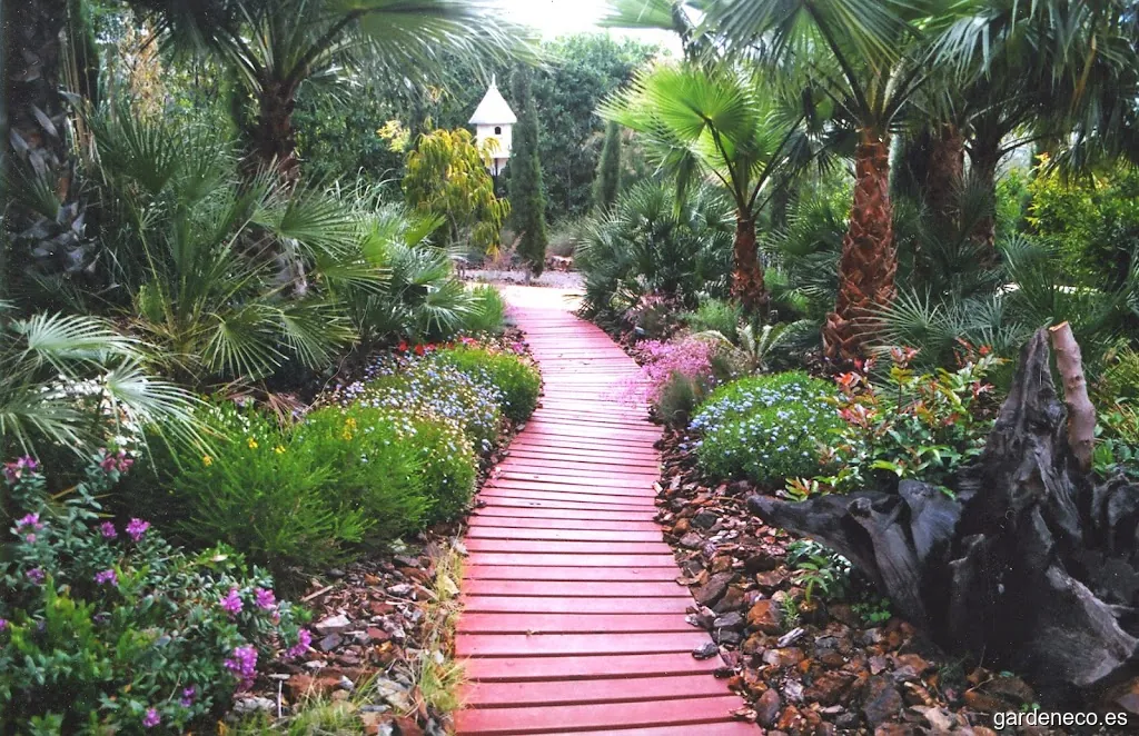 Singularte S.L.L. - XILEMA