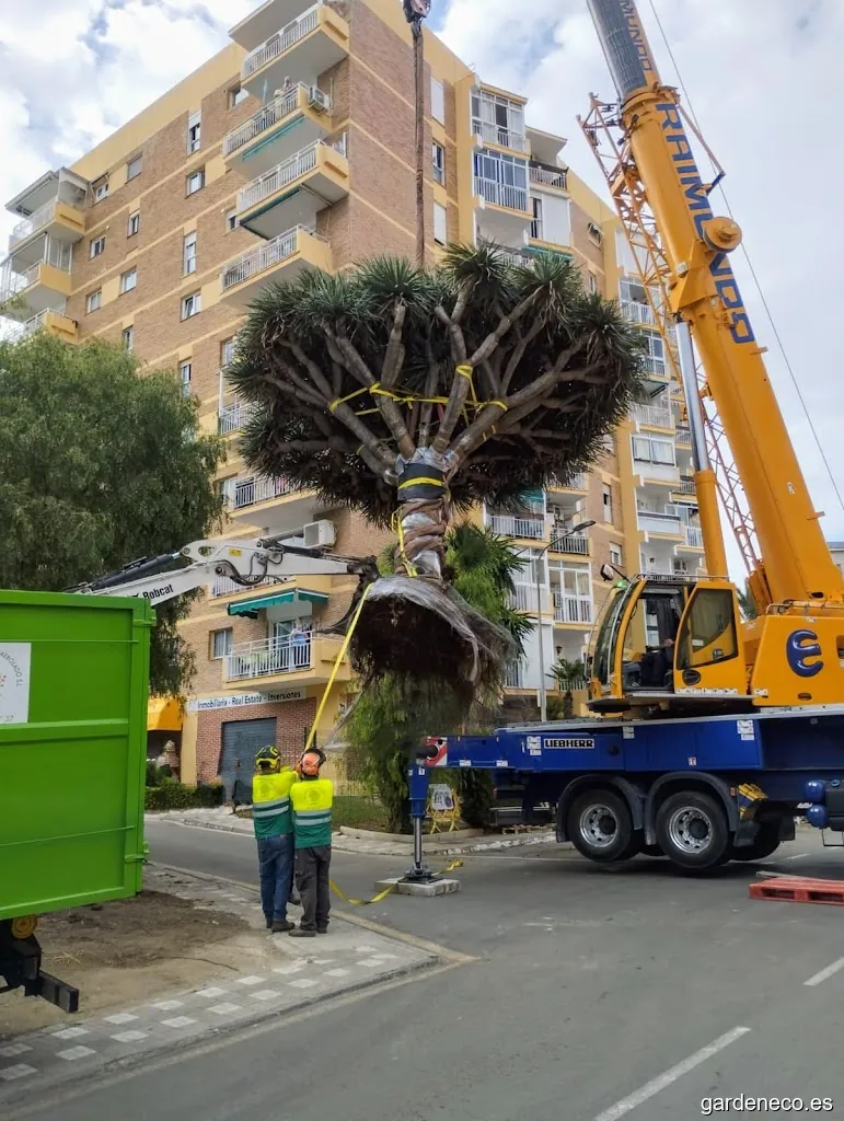 Gestion integral del arbolado sl