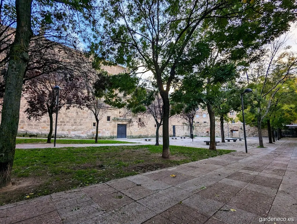 Jardín Ronda de Sancti-Spiritus