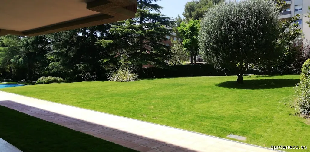 Mediterrania Jardiners