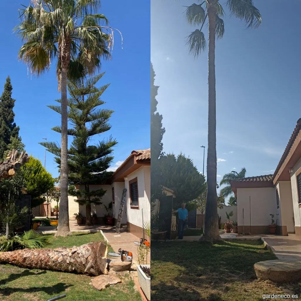 Podas Patilla Valencia