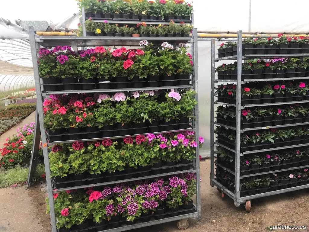 Horticultura Ventosa de Pisuerga Viveros