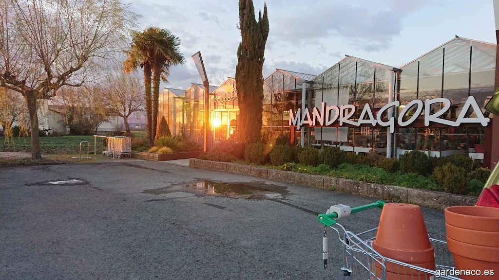 Centro De Jardinería Mandragora S C