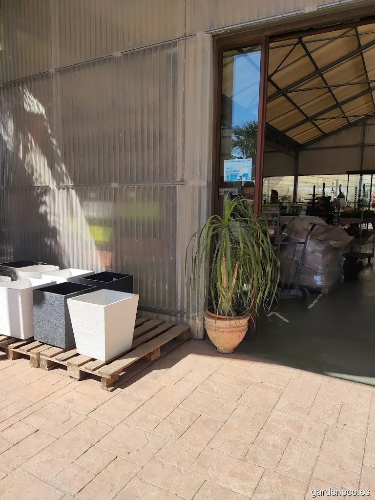 Viveros Valle Balbuena S.L.