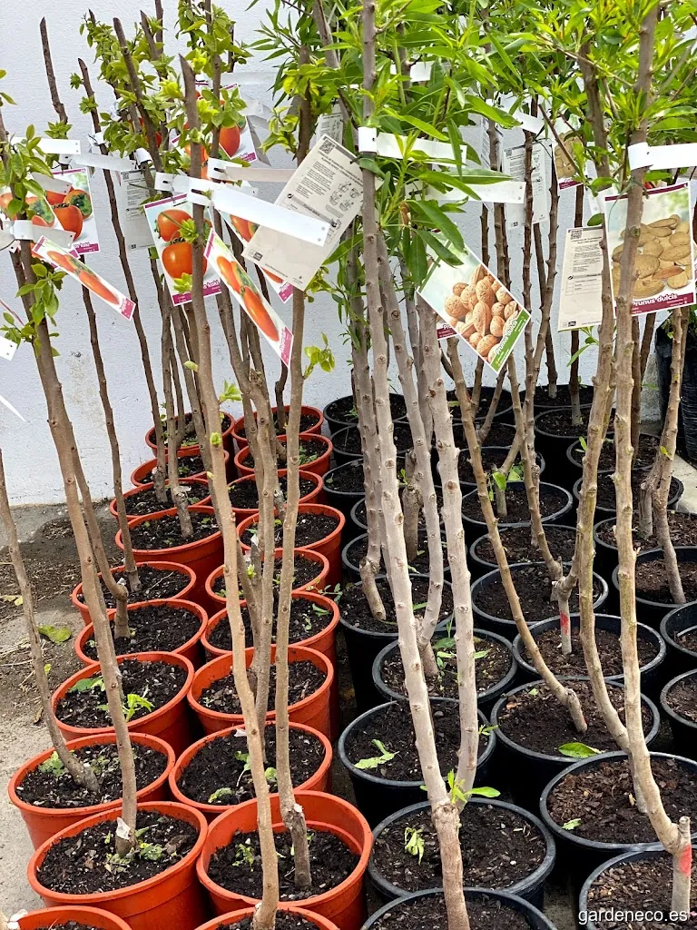 Agrojardin Mijas S.L