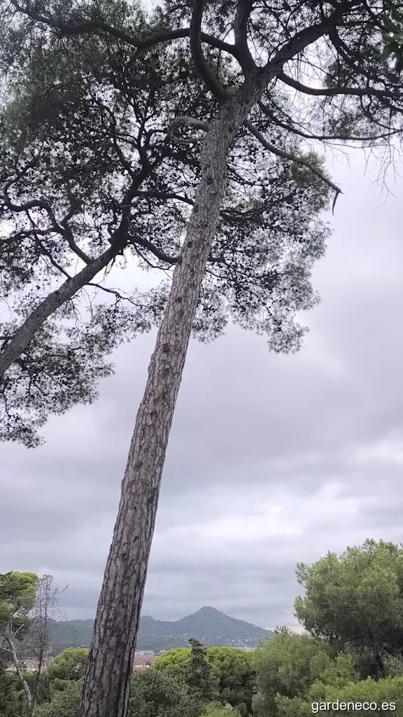 Jardines del Castillo