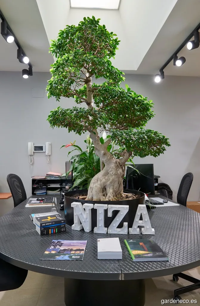Niza Jardinería