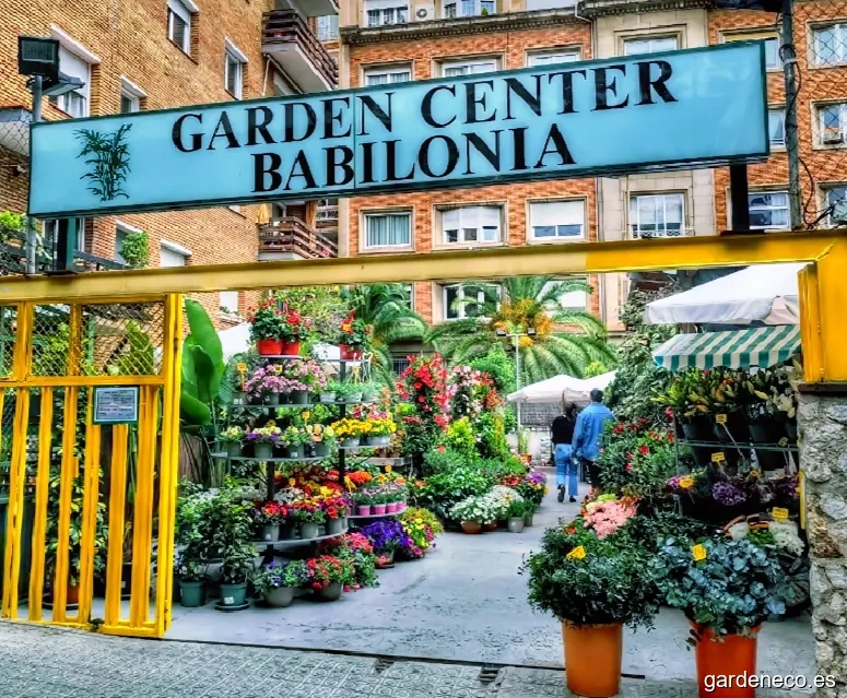 Garden Center Babilonia
