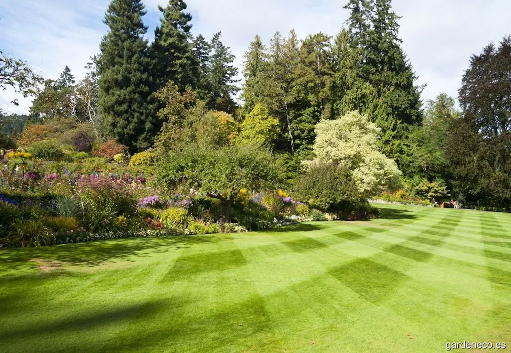 Arboreda Jardinería - Jardineros Profesionales en Valencia