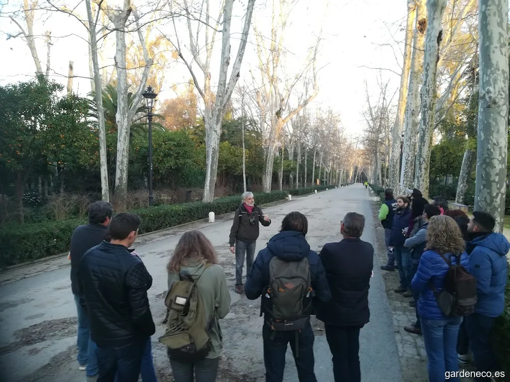 Plan Ve | Consultoría y Formación en Arboricultura y Paisajismo