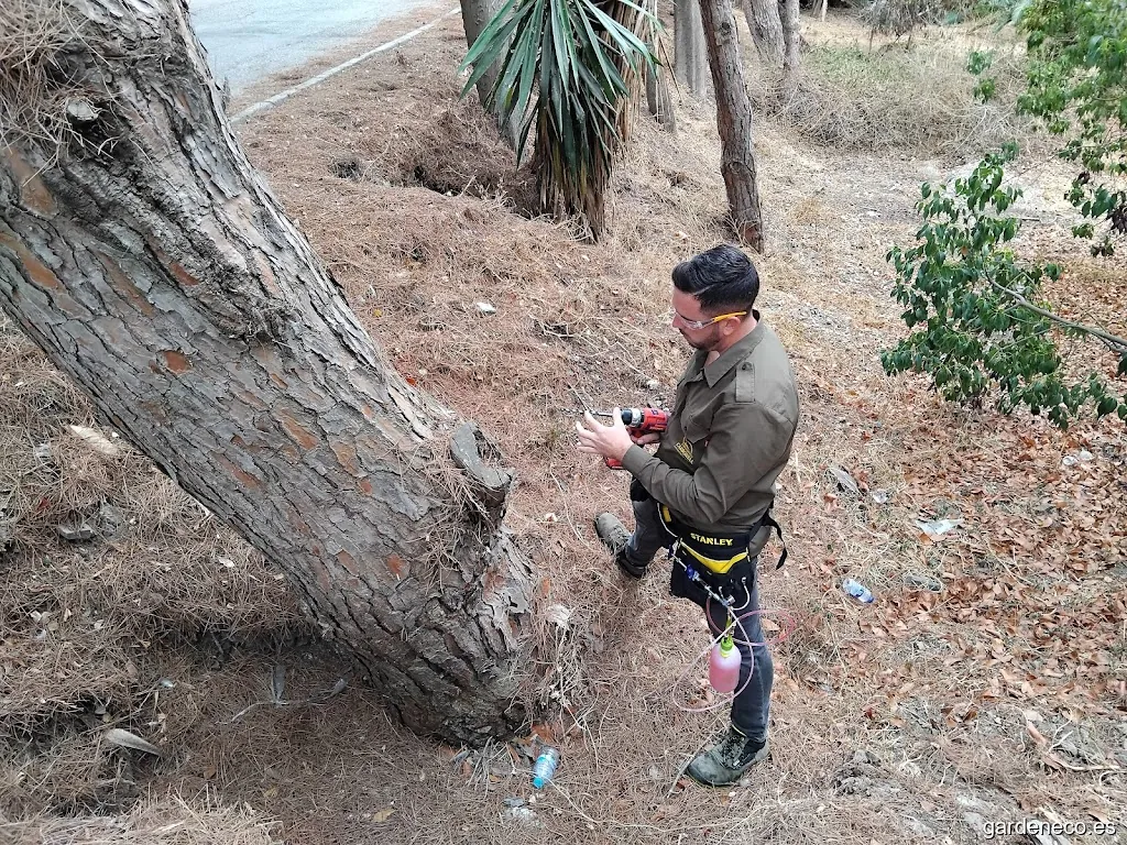 Endoterapia Carbonell