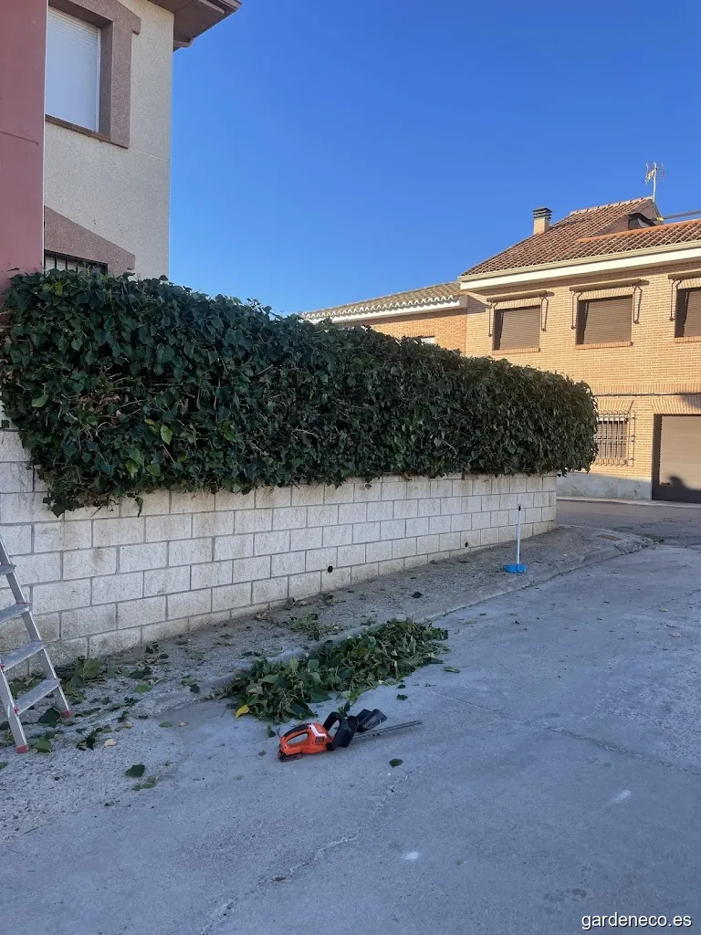 Jonathan L. Mantenimiento y Jardinería