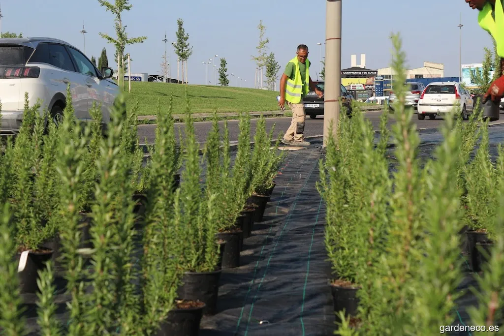 R.S. Agrotècnica Del Segrià S.L.