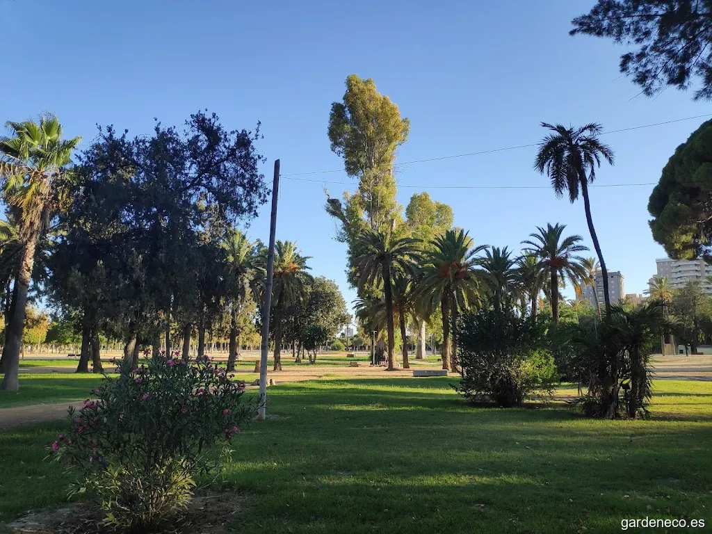 Parque González Hontoria