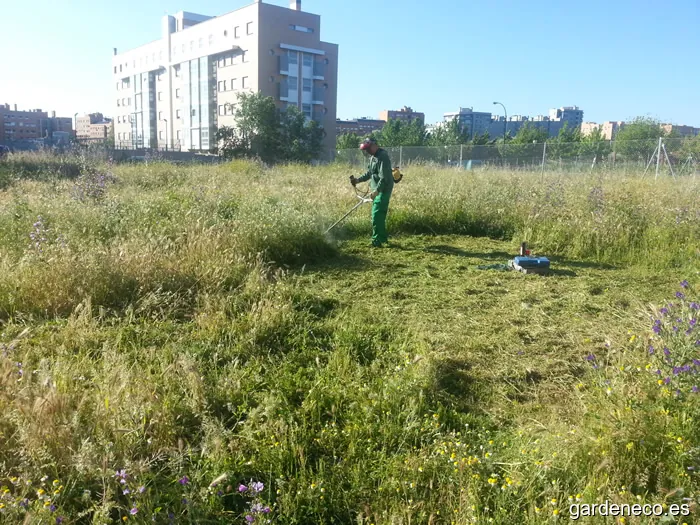 Agar Española Ingenieros, S.l
