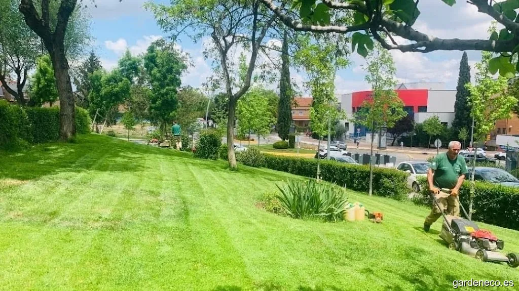 Grupo Jardín Kasas S.L.U